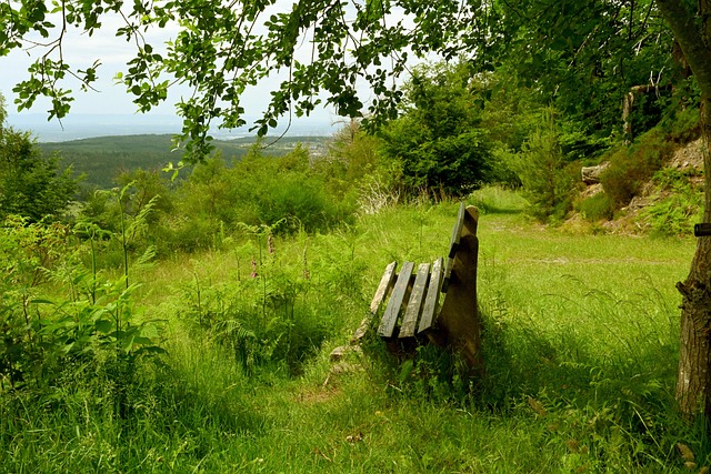 如果這些問 如果這些問