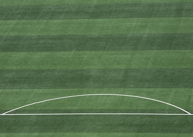 性和调整能 性和调整能