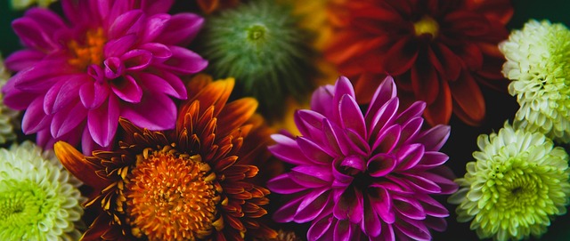 富的球队带 富的球队带