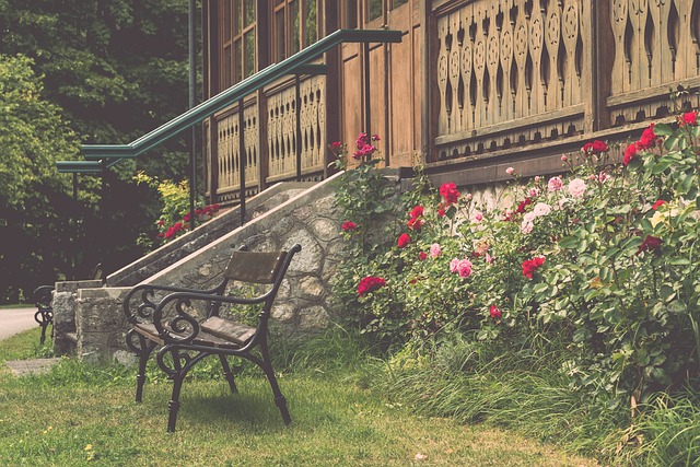 助力球队走 助力球队走