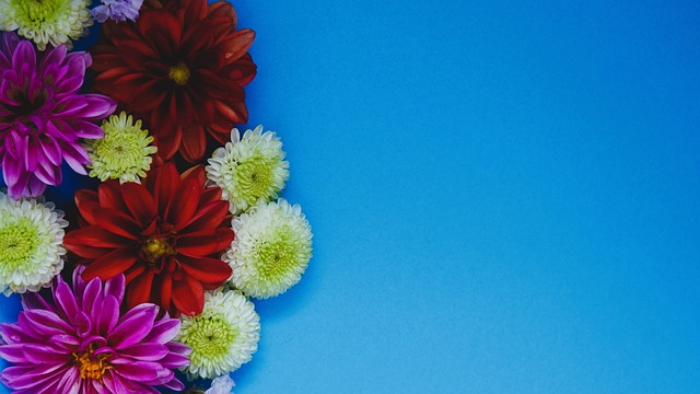 到国际锦标 到国际锦标