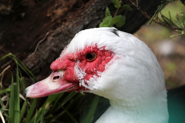 对阵火箭时 对阵火箭时