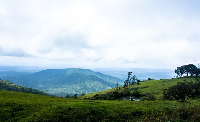 摆脱防守 摆脱防守