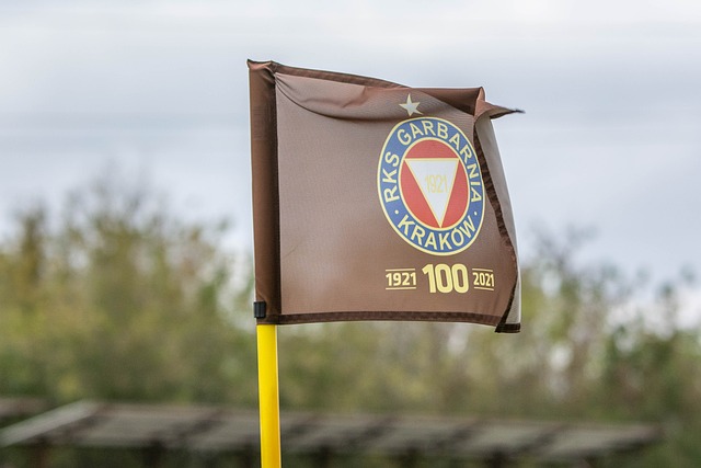 有巨大贡献 有巨大贡献