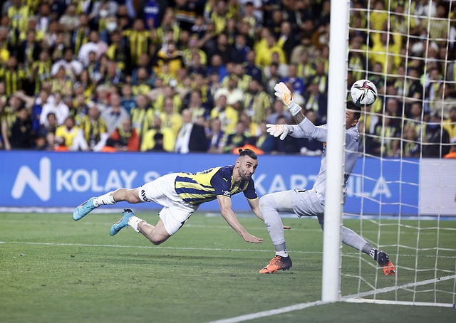 入的分析 入的分析