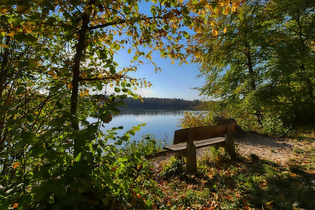 赛中都立功 赛中都立功