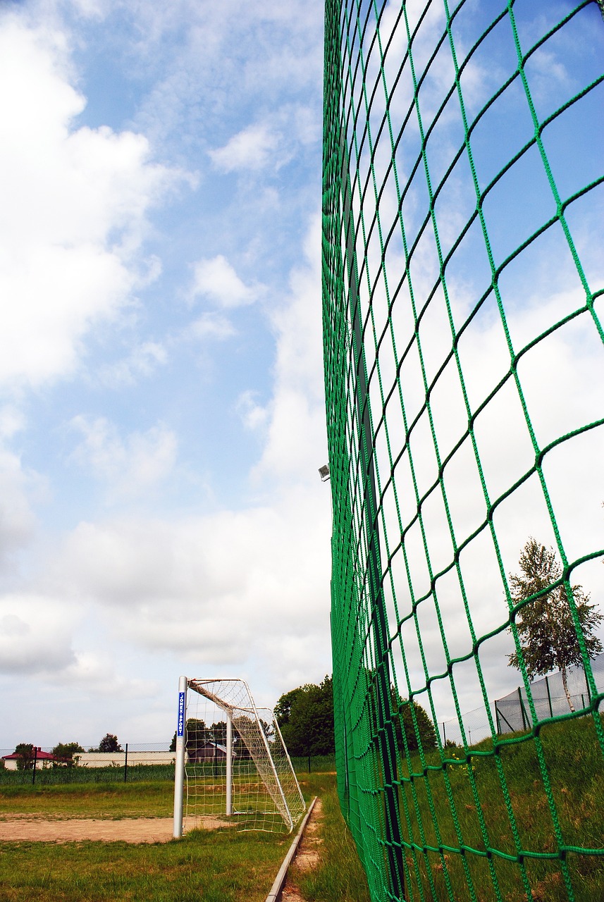 洋河夢之藍 洋河夢之藍